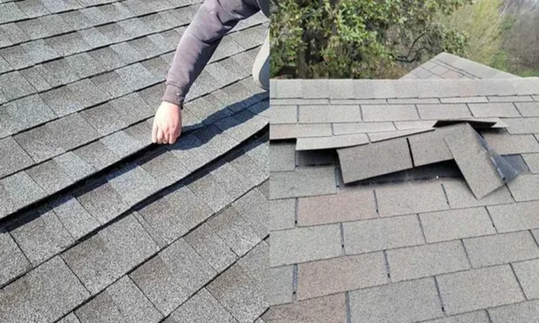 What Is Your Roof Damage Actually Telling You?